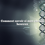 Question : Comment savoir si mon cochon d’Inde est heureux